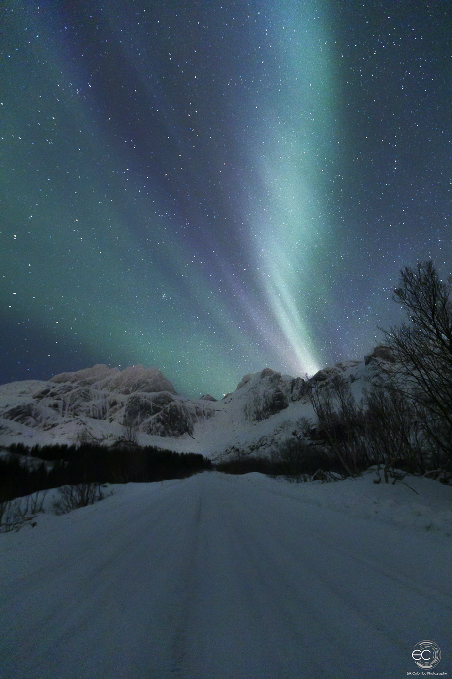 Nusfjord - Aurora