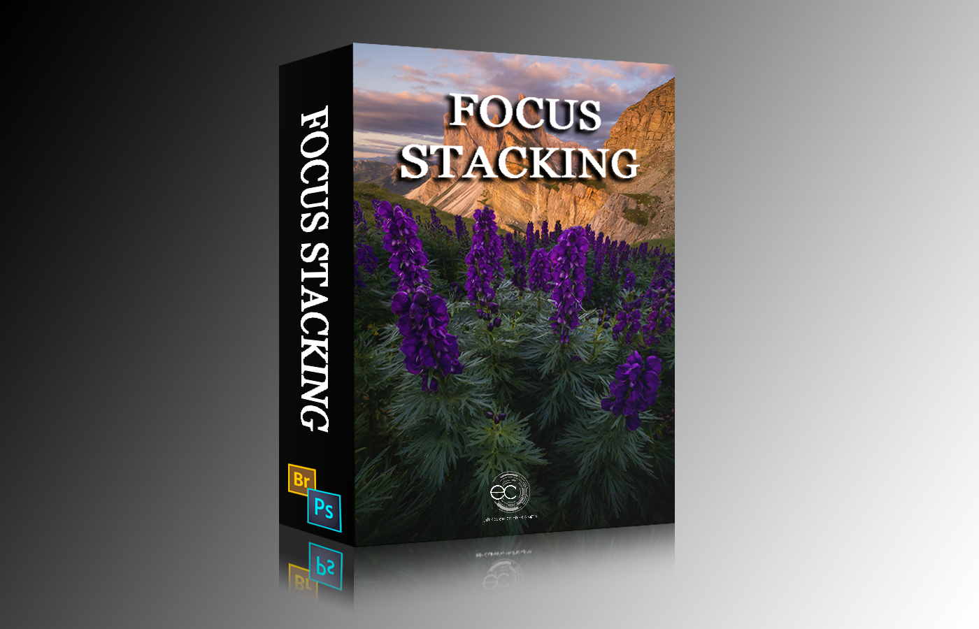 focus stacking video tutorial
