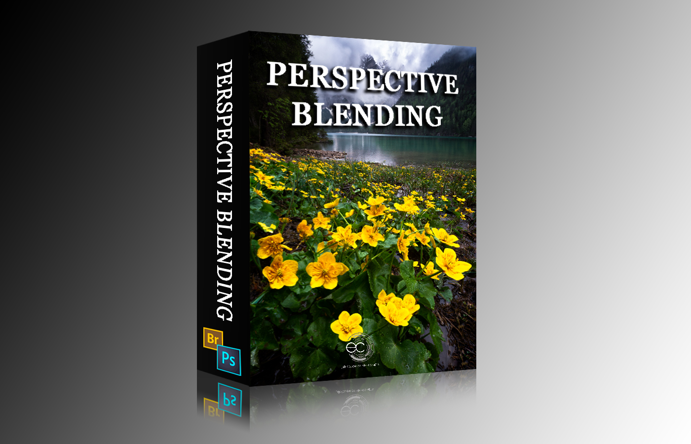 PERSPECTIVE BLENDING VIDEO TUTORIAL