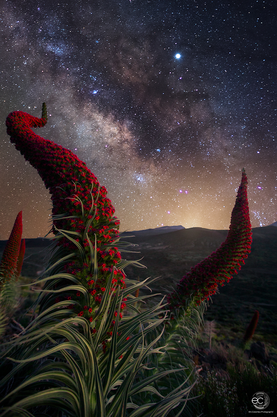 Paesaggio con via lattea A Tenerife sul Teide di Erik Colombo