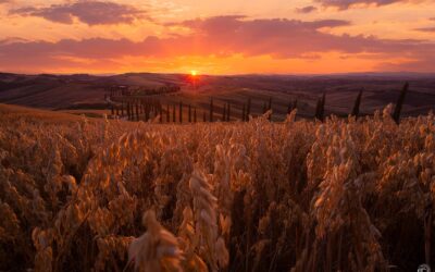 La mia Val D’Orcia