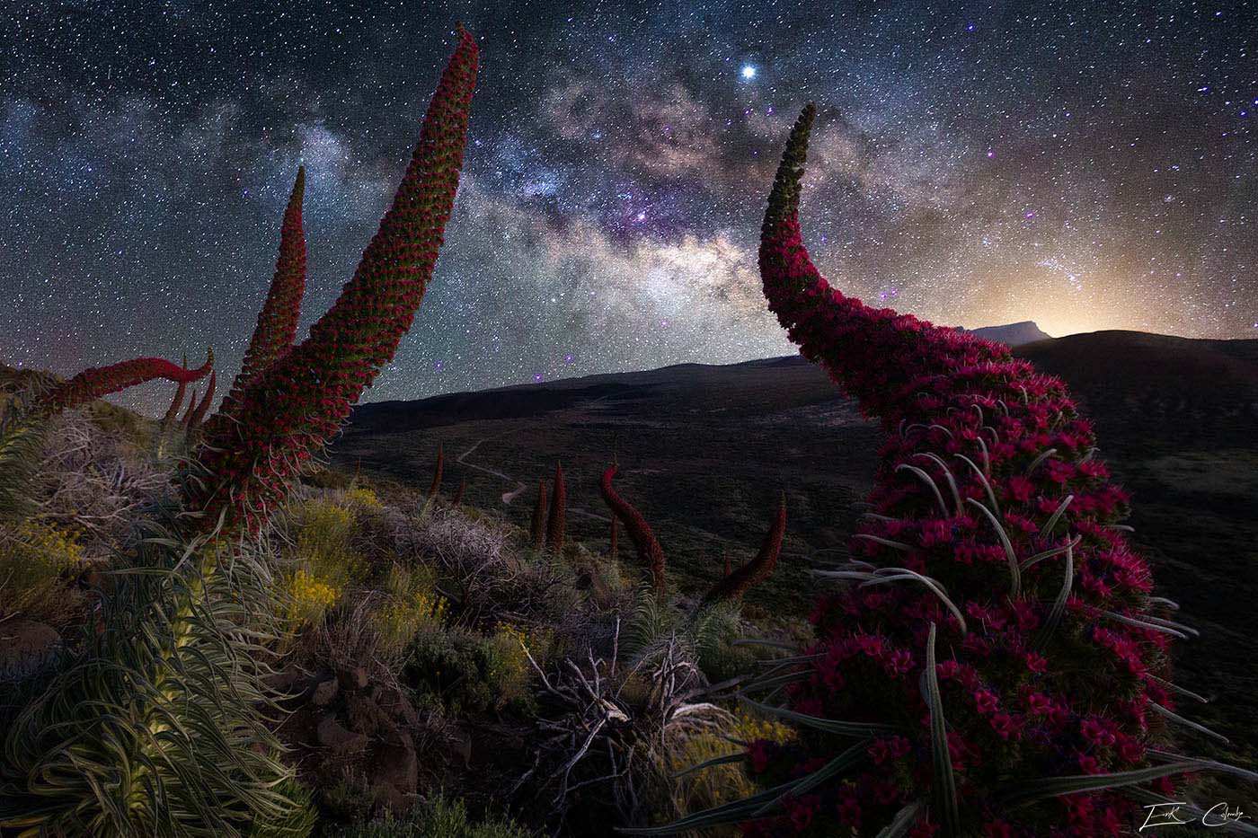 Paesaggio con via lattea A Tenerife sul Teide di Erik Colombo