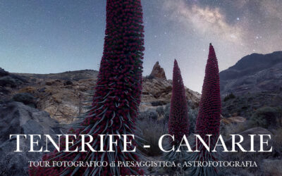 Tour Fotografico Tenerife 2024